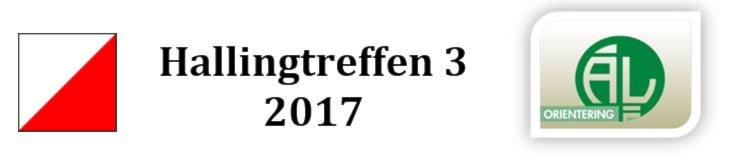 Hallingtreffen 3 på Fuglehovda